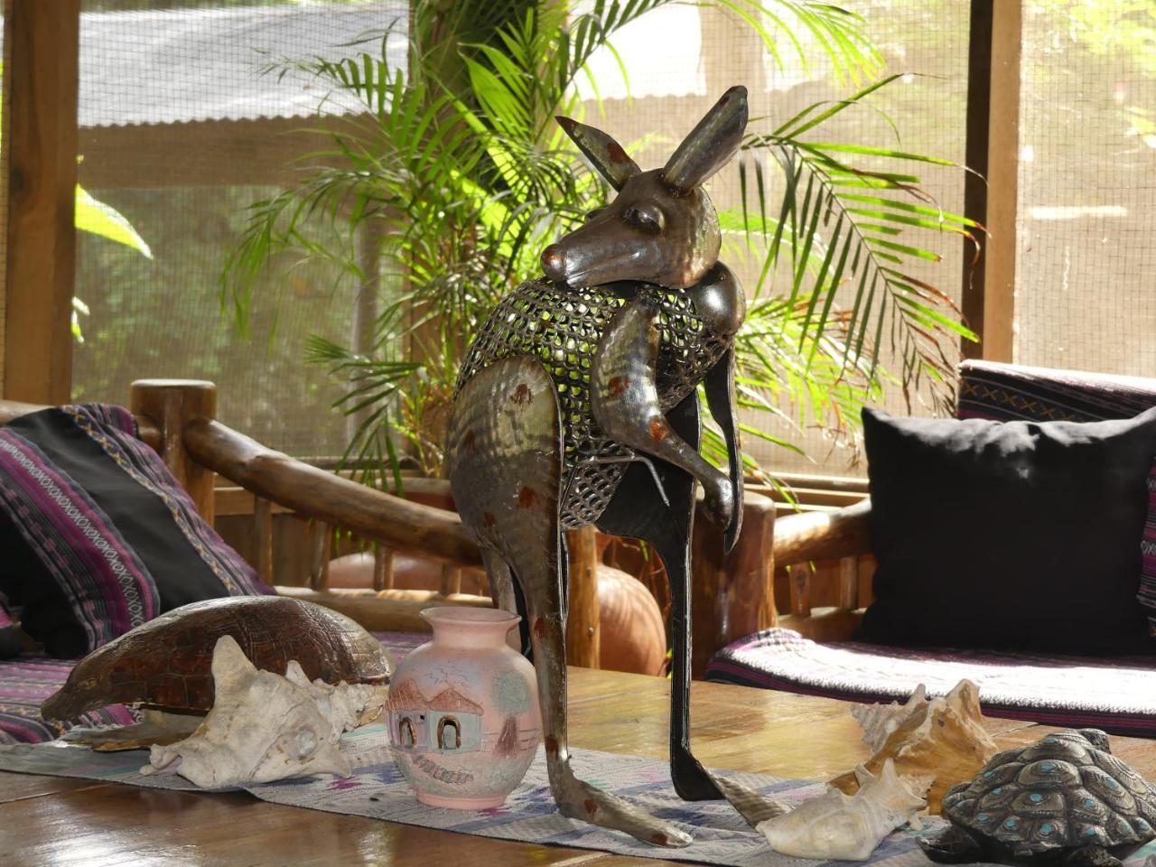 Hotel Kangaroo Y Restaurante Рио Дулсе Екстериор снимка